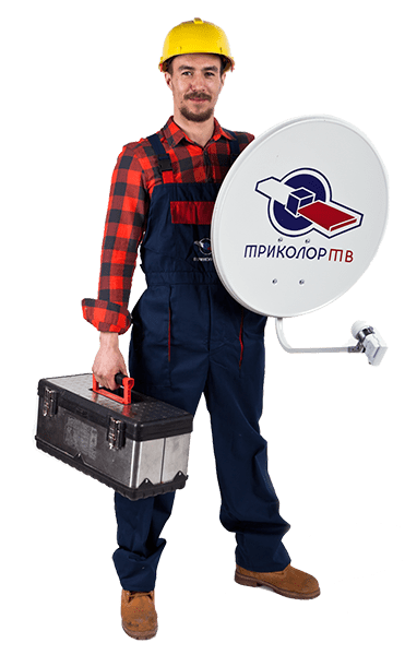 Главная